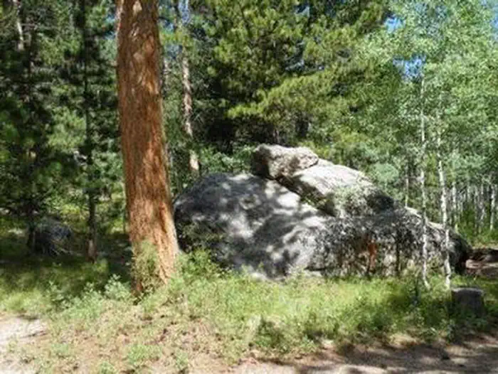 OLIVE RIDGE5