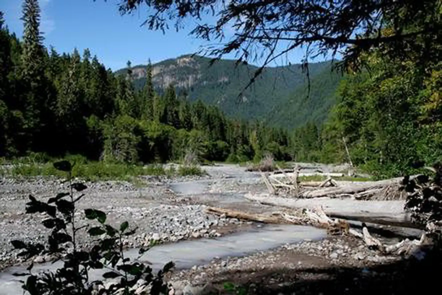 Silver Springs Campground