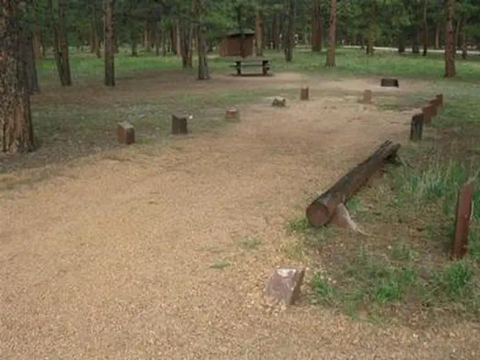 South Meadows - Pike San Isabel NF (CO)