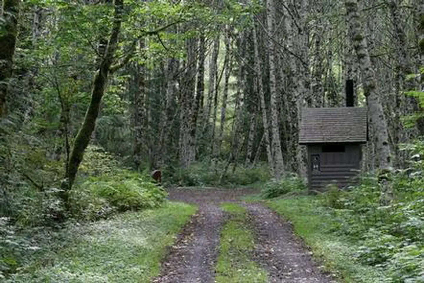 Coal Creek Group Camp