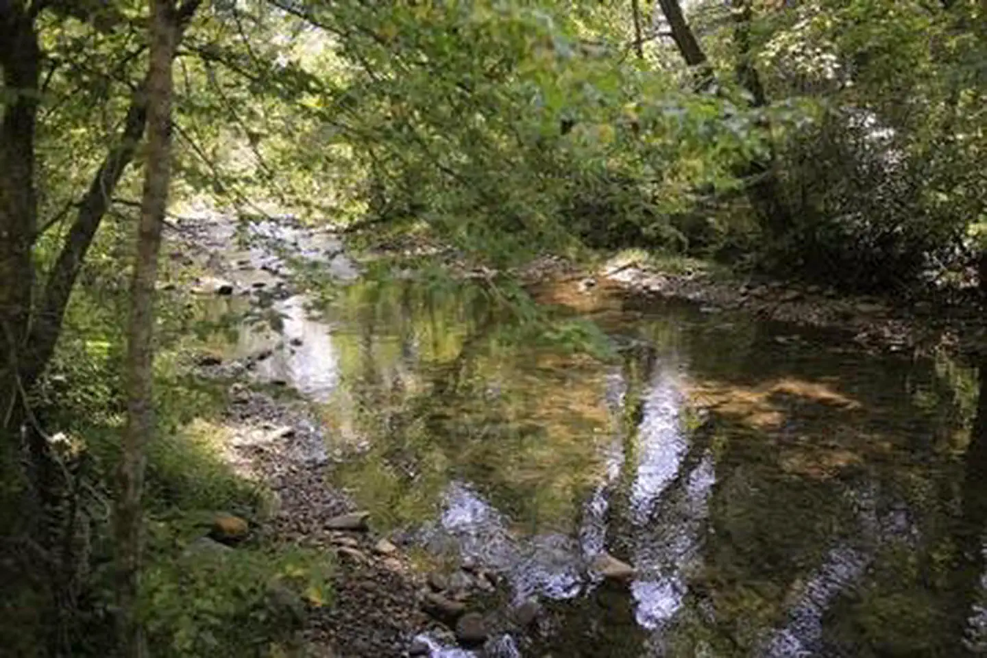 NORTH MILLS RIVER