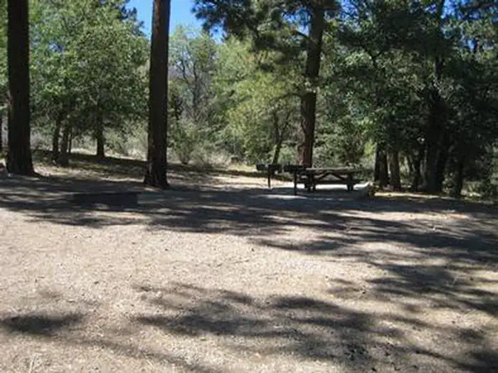 GREEN SPOT EQUESTRIAN GROUP CAMP