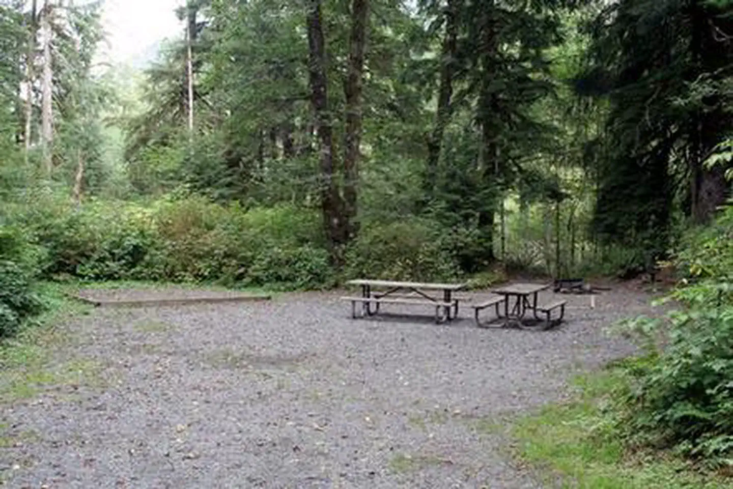 Esswine Group Camp