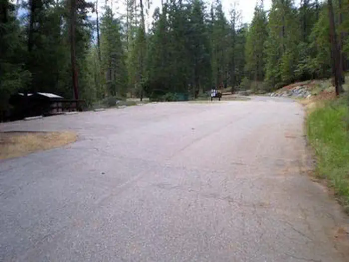 STONEY GROUP SHASTA-TRINITY