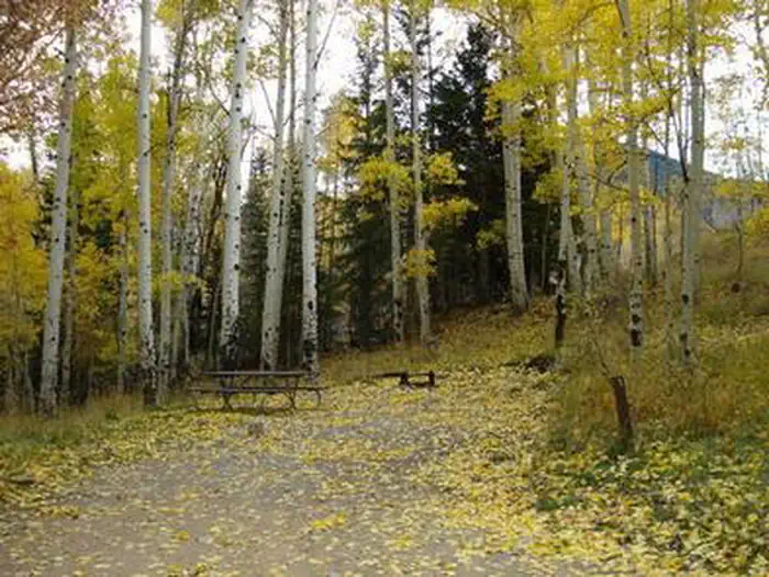Site 7