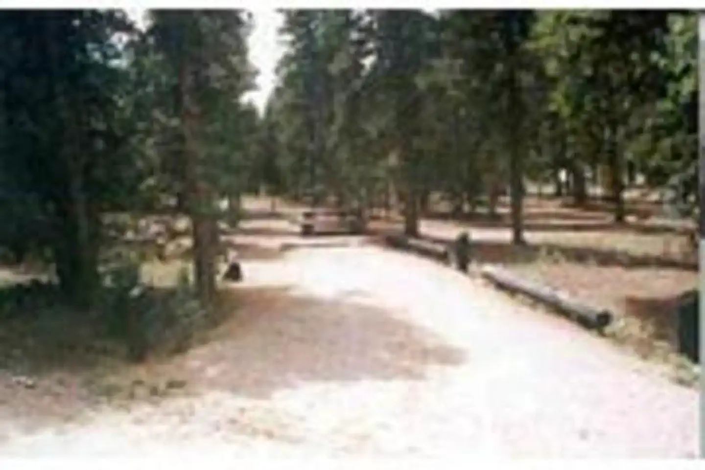 COLUMBINE CAMPGROUND