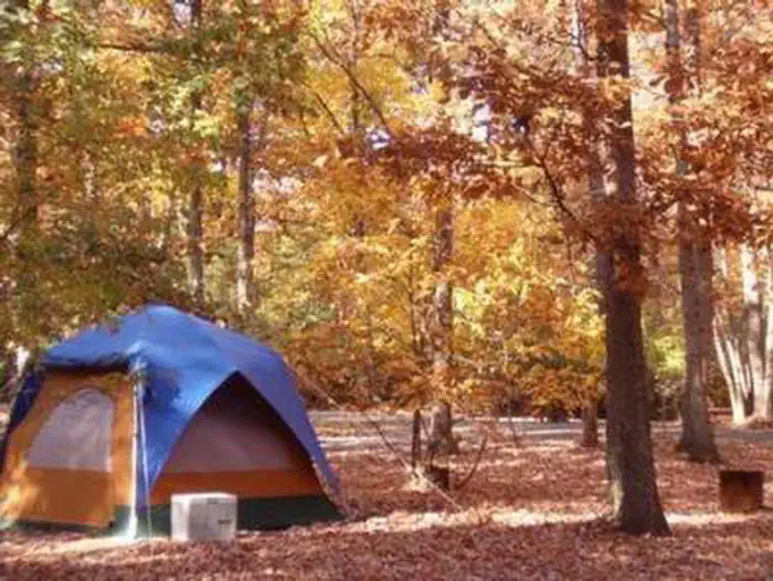 A Tent in the Greenbelt Park Maryland campground