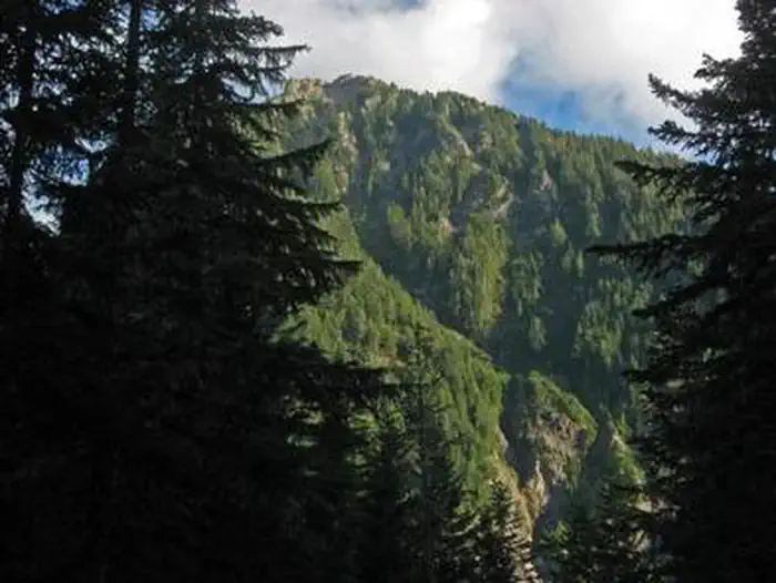COUGAR ROCK CAMPGROUND