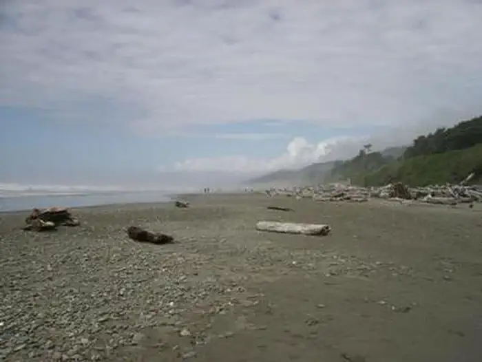A long stretch of beach at Kalaloch Campground. The beach is comprised of sand and small rocks. Large amounts of driftwood litter the coastline.
