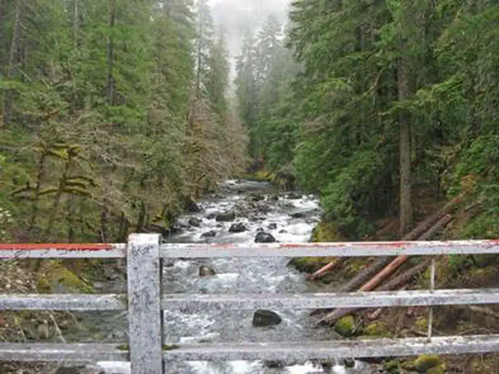 OHANAPECOSH GROUP CAMPGROUND