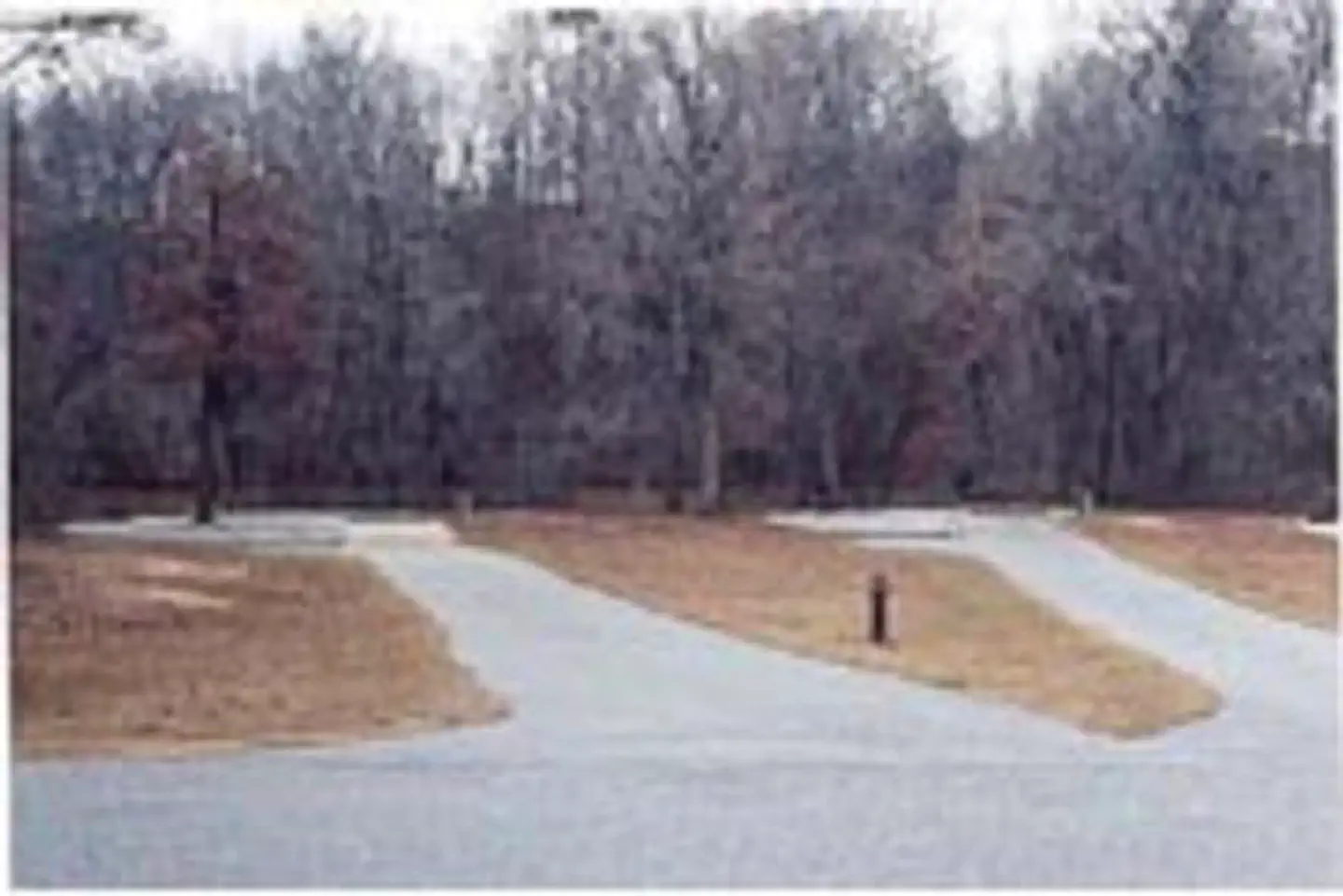 BLUFF CREEK