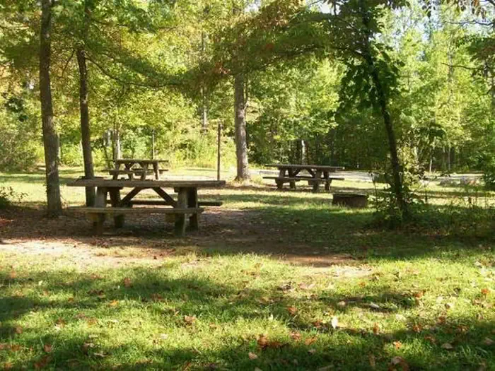 Middle Field Camping Area