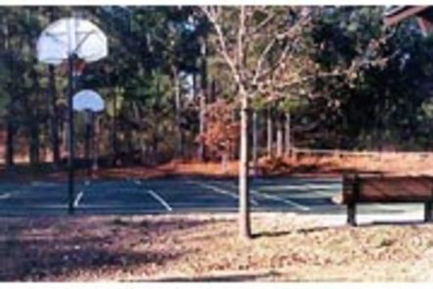 PINEY GROVE