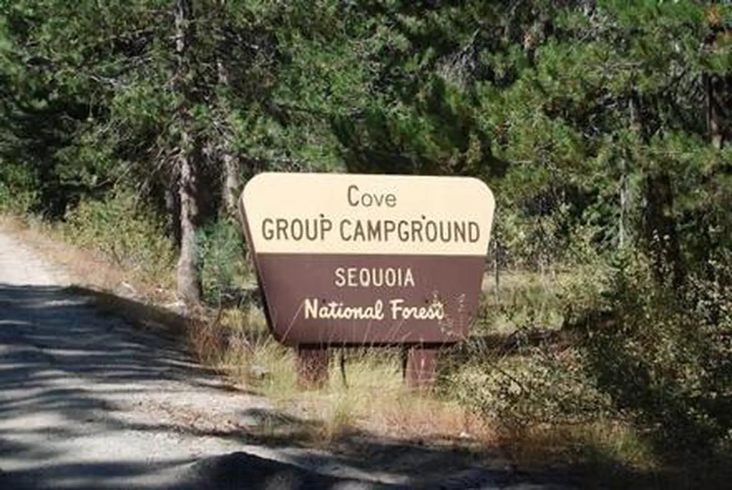COVE GROUP