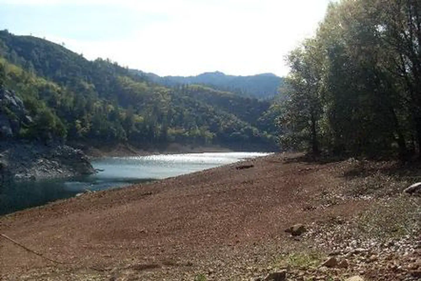 ELLERY CREEK