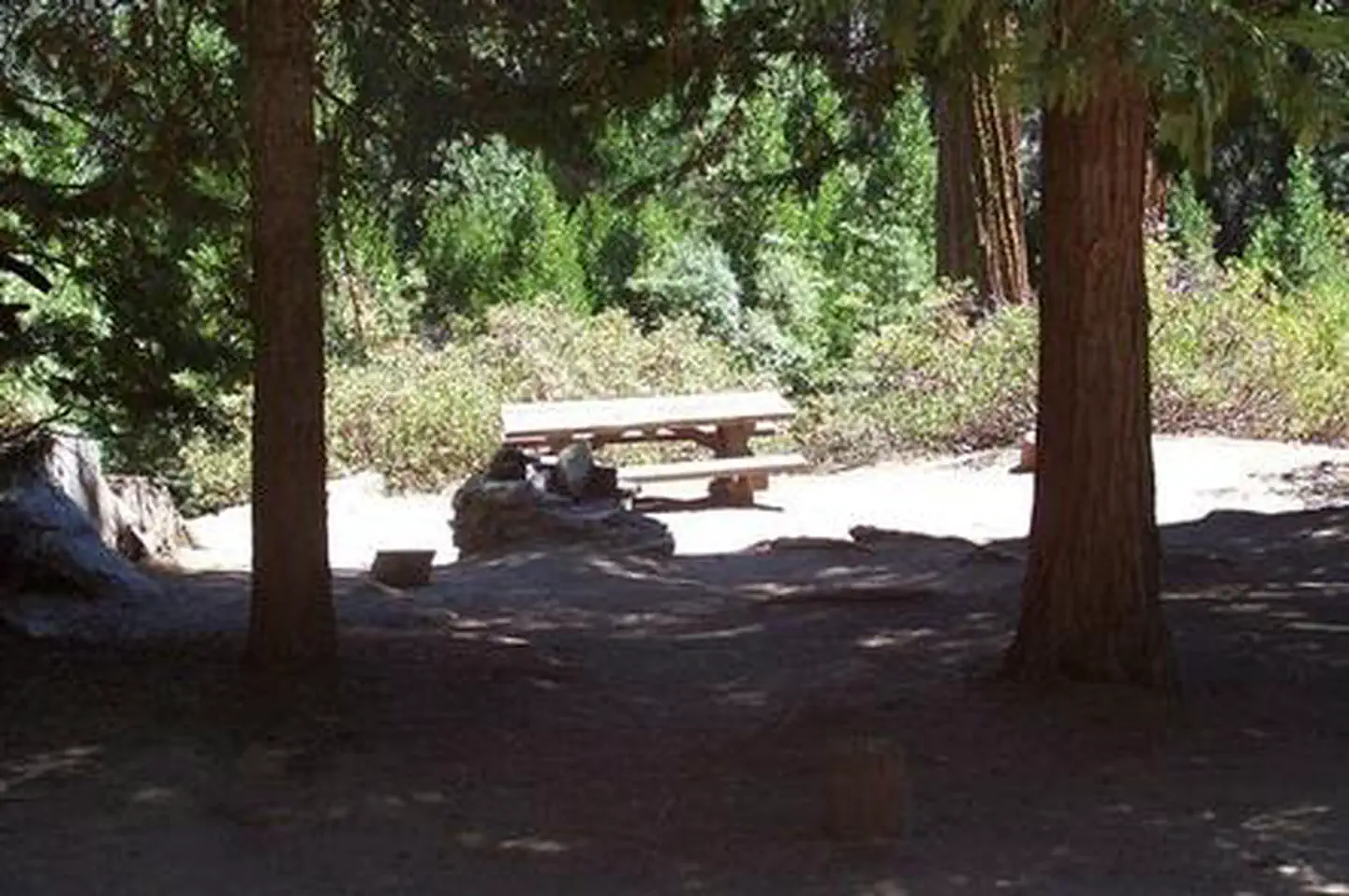 REDWOOD MEADOW