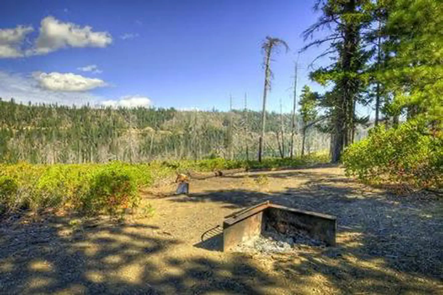 Scout Lake