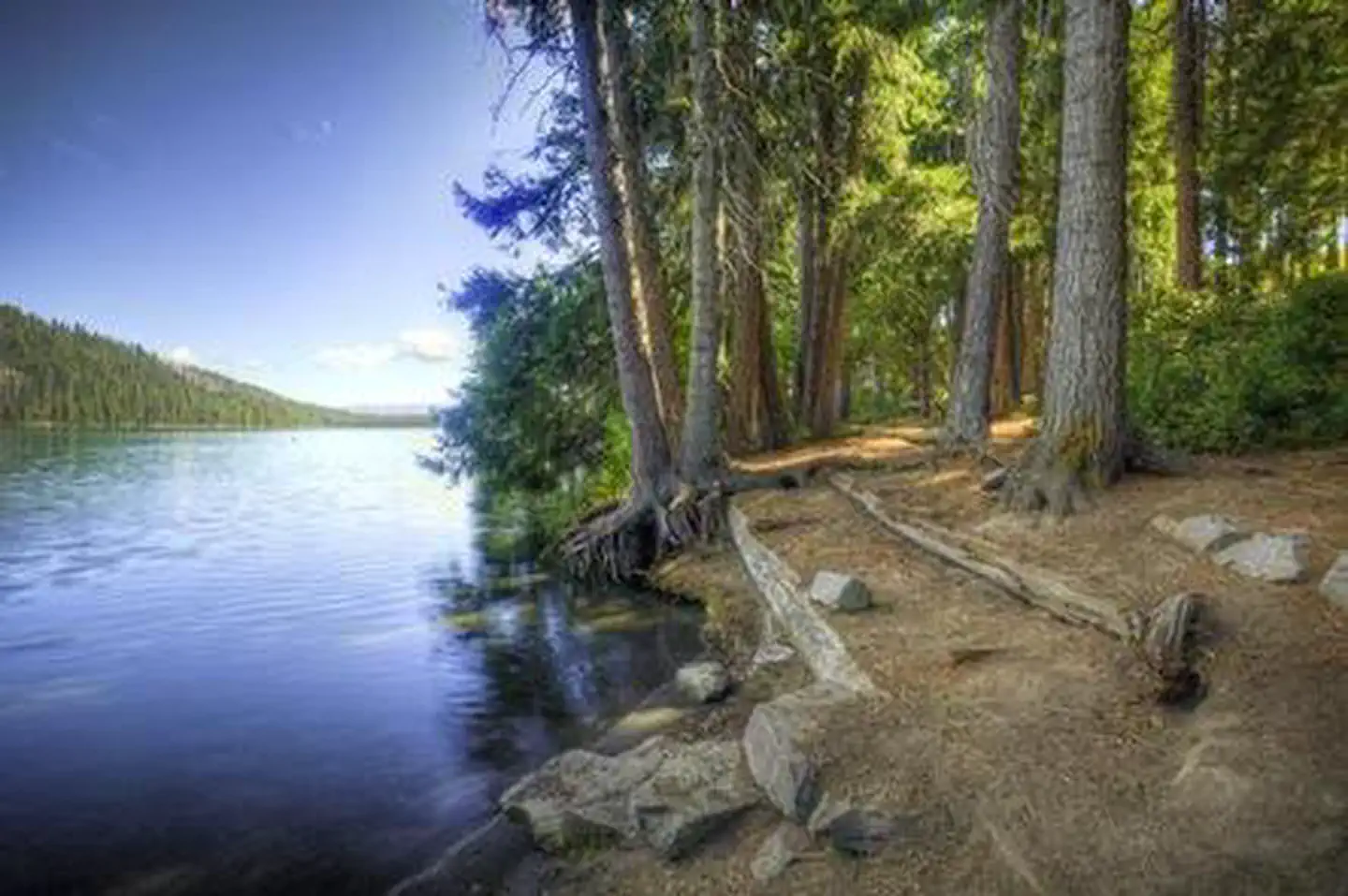 LINK CREEK