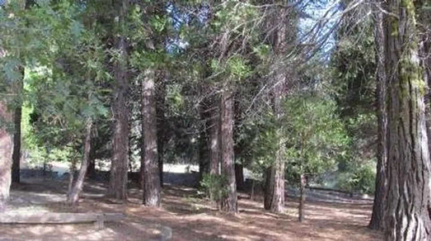 LONG MEADOW GROUP