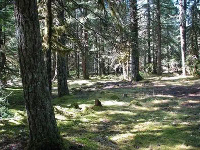 RILEY HORSE CAMPGROUND