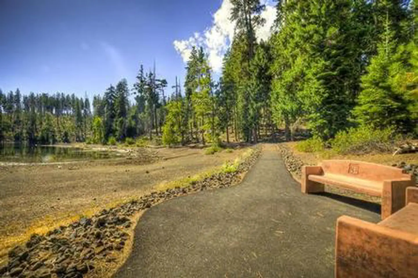Scout Lake