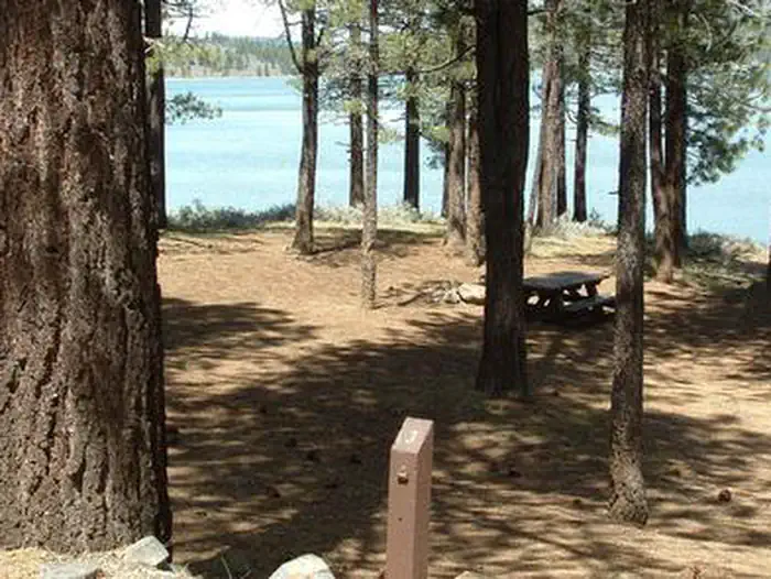 SPRING CREEK