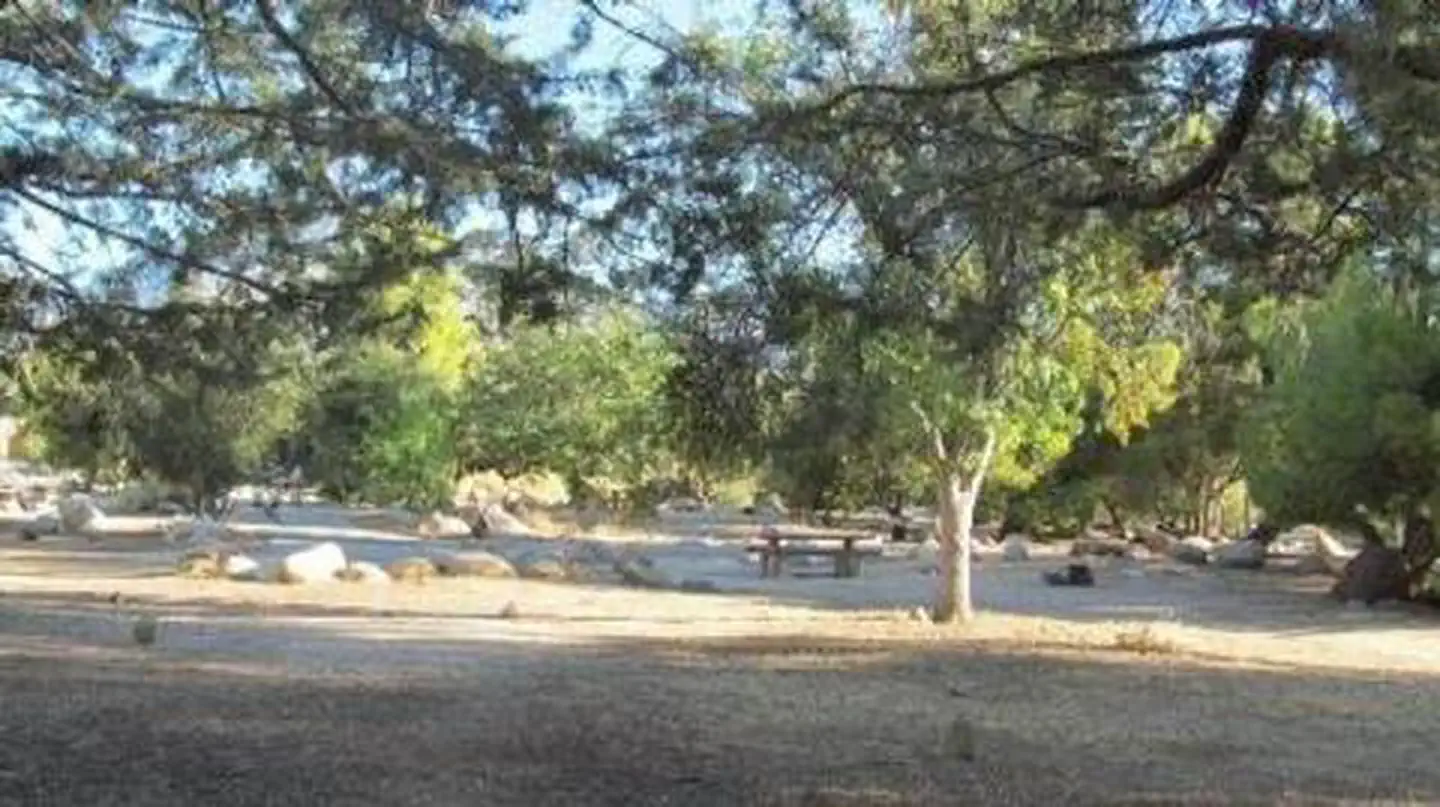 TILLIE CREEK