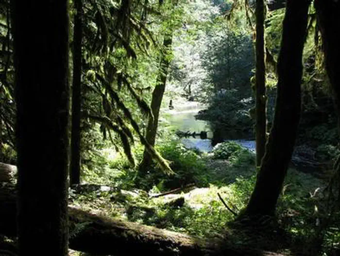 LOST CREEK