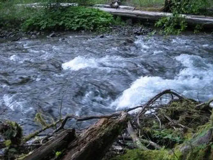 Beaver Campground