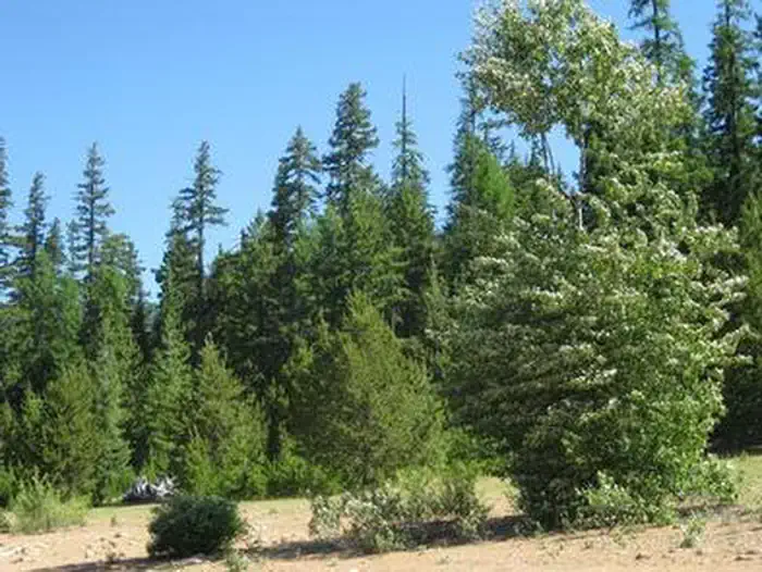 CLEAR LAKE (OR)4