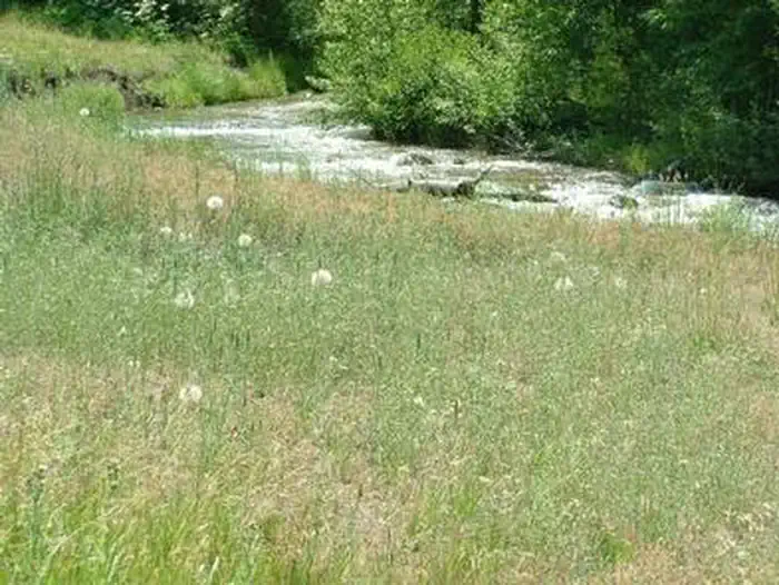 COLD CREEK