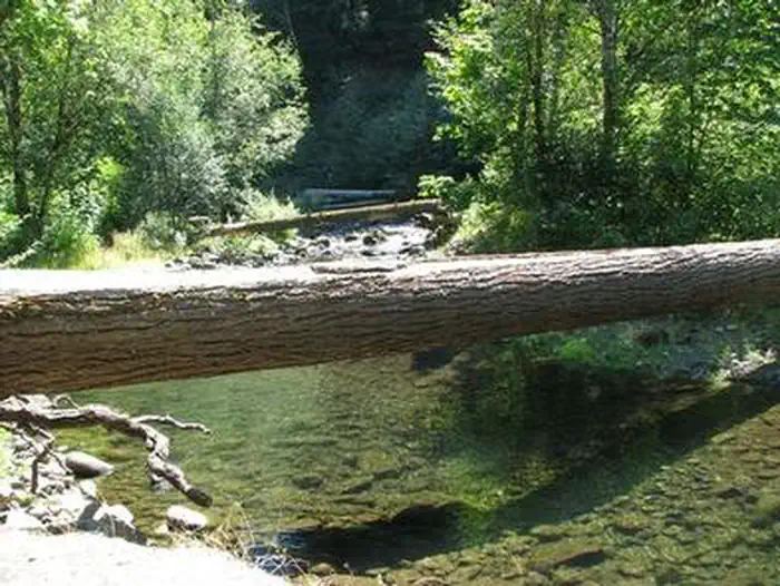 RIPPLEBROOK