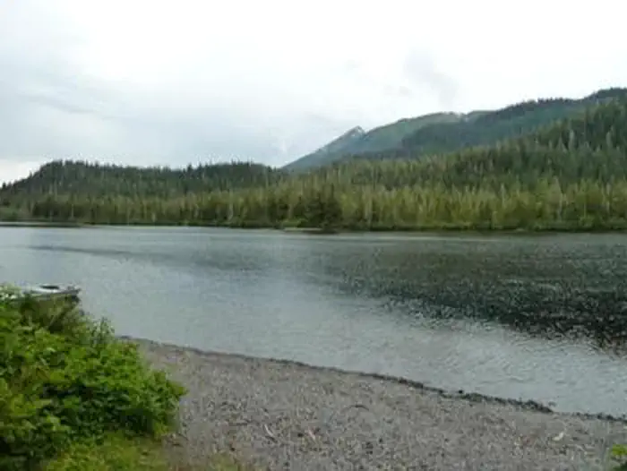 LITTLE SHAHEEN CABIN