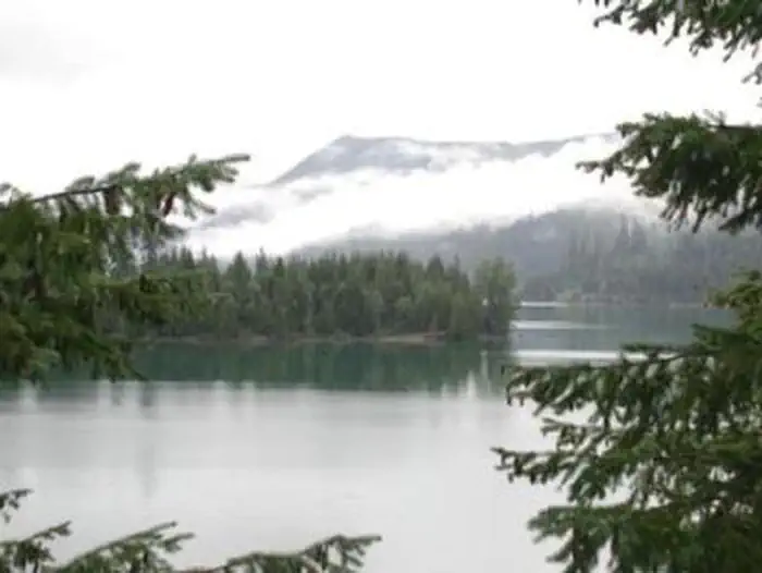 PACKARD CREEK