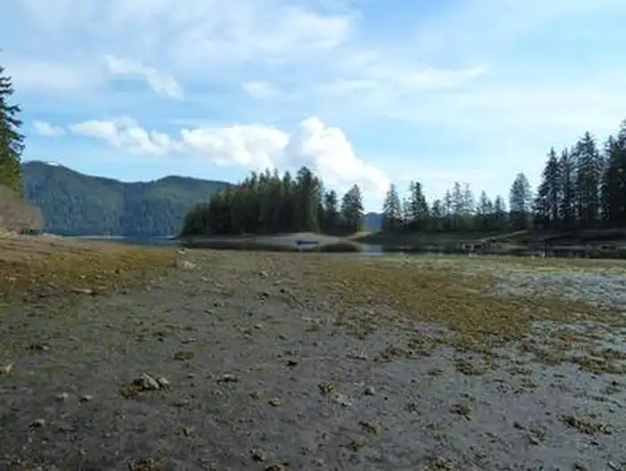PYBUS BAY CABIN viewshed