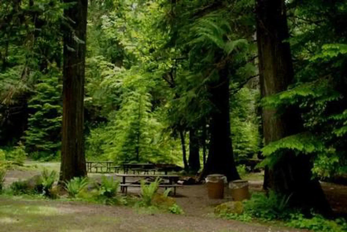 North Fork Bear Group Camp