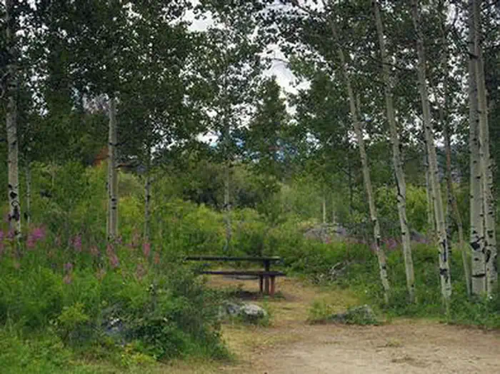 NARROWS CAMPGROUND