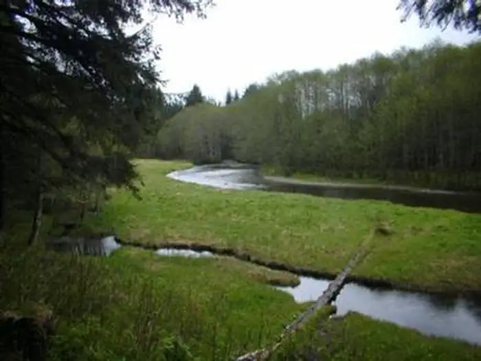 ADMIRALTY COVE CABIN grounds