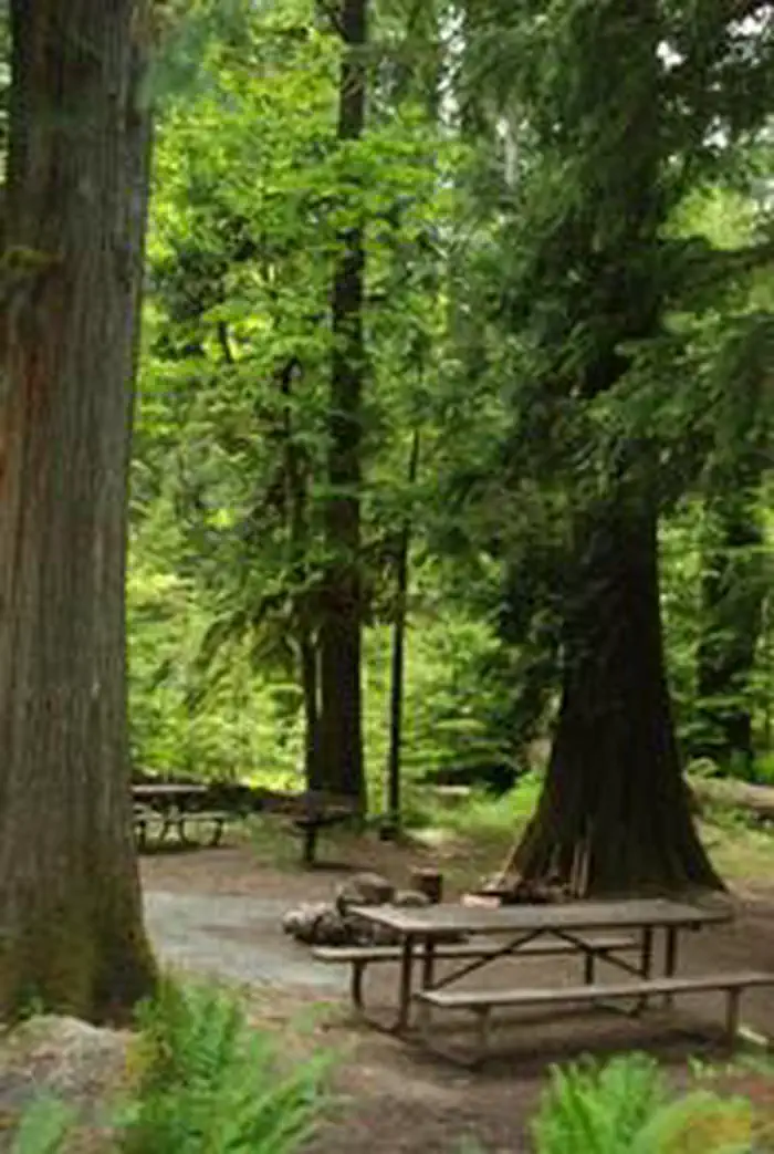 North Fork Bear Group Camp