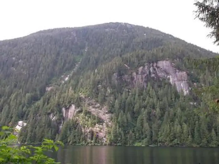 WILSON VIEW CABIN view