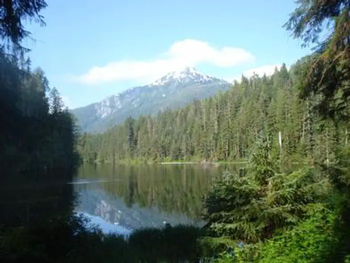 WILSON NARROWS CABIN View
