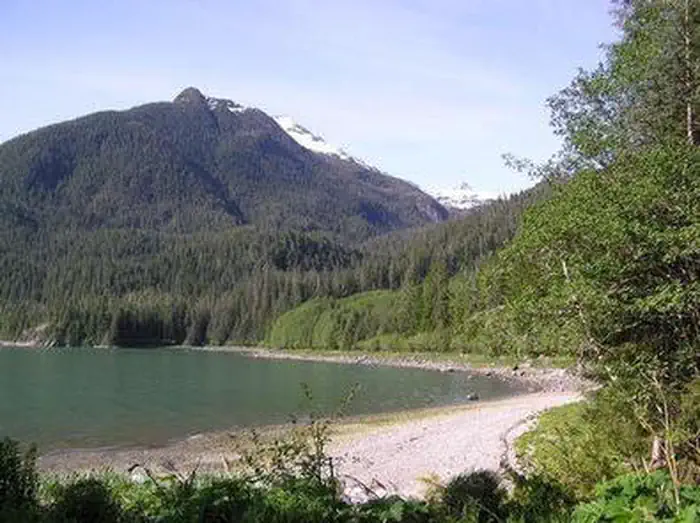 CASCADE CREEK CABIN2