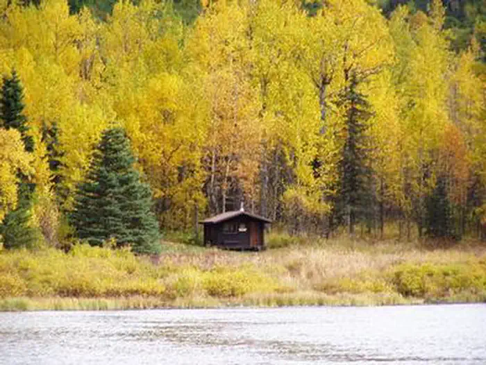 SWAN LAKE CABIN SEWARD2