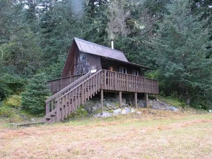 Brown cabin with steps extending down with trees behind cabin