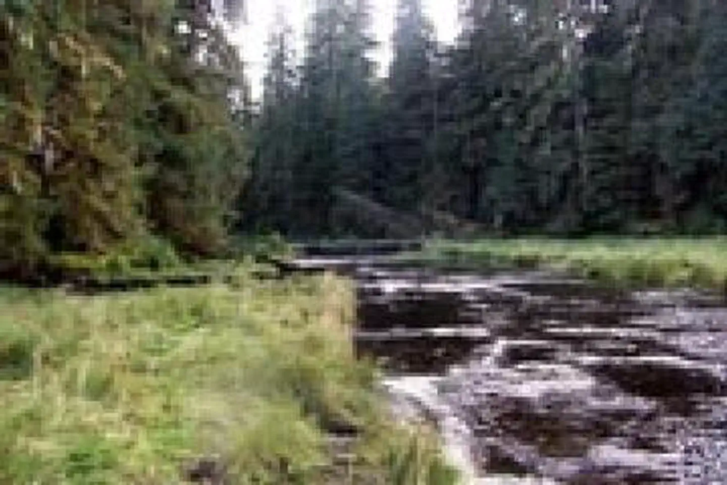 SWEET WATER LAKE CABIN1