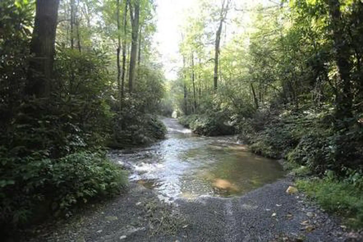 COVE CREEK LOWER GROUP