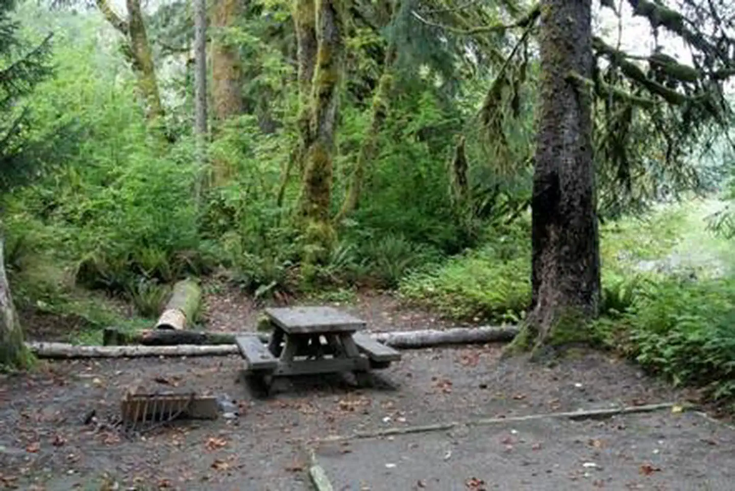 Boardman Group Camp