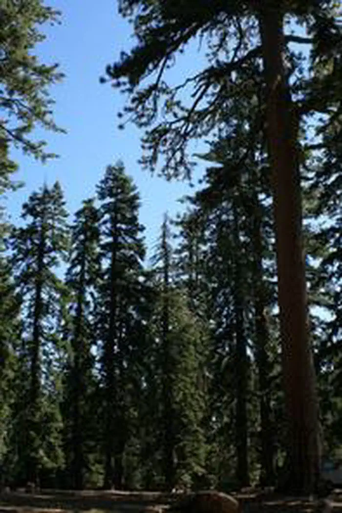 MASTERSON GROUP CAMPGROUND