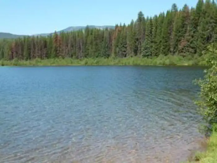 Lake Inez, Montana.