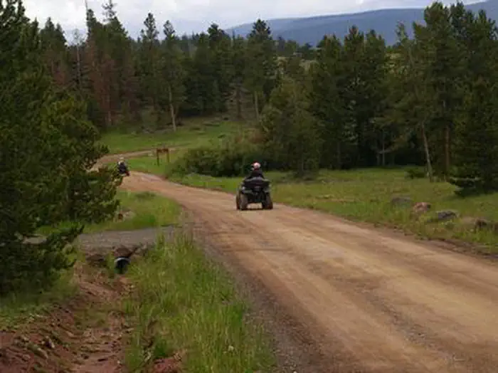 Individual riding an ATV on a dirt road.